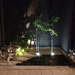 玄関/入り口/照明/植物のインテリア実例 - 2014-04-02 00:25:15