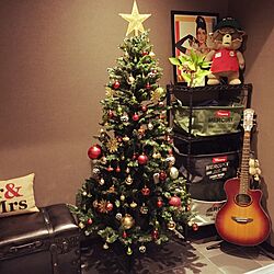 リビング/クリスマス/クリスマスツリーのインテリア実例 - 2015-11-08 18:22:43