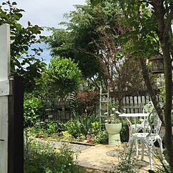 ベッド周り/ケヤキ/ホワイト化/手作りの庭/ガーデン...などのインテリア実例 - 2016-05-19 14:05:55
