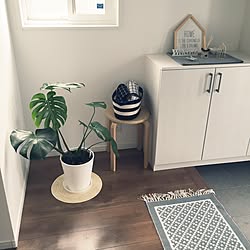 玄関/入り口/観葉植物/セリア/フランフラン/IKEA...などのインテリア実例 - 2017-07-03 07:55:07