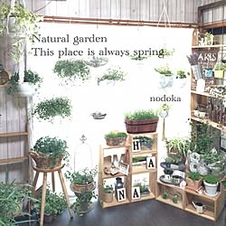 玄関/入り口/naturalgarden/RCの出会いに感謝♡/いいね･.｡*･.｡*ありがとう！/【植中毒】のインテリア実例 - 2016-01-11 09:20:18