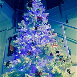 部屋全体/照明/ホワイトクリスマス♪/ディズニーオーナメント/LEDライトツリーのインテリア実例 - 2014-12-02 20:28:35