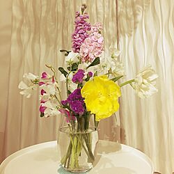 リビング/花/植物のある暮らしのインテリア実例 - 2016-03-03 21:01:08