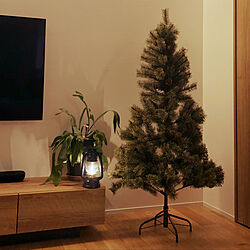 クリスマスツリー/アルザスツリー150㎝/植物のある暮らし/くつろぎ空間/間接照明のある暮らし...などのインテリア実例 - 2022-10-14 22:04:58