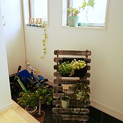 玄関/入り口/DIY/観葉植物のインテリア実例 - 2016-09-11 22:25:34