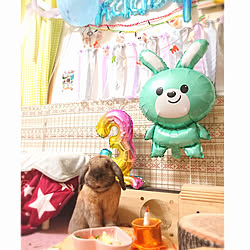 うさぎと暮らす/生活感丸出し/ダイニング/Birthdayﾃﾞｨｽﾌﾟﾚｲ/うさぎが好きで好きでたまらない❤️...などのインテリア実例 - 2021-11-14 00:08:45