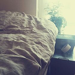 ベッド周り/リネン/植物/昼間こそ寝てたいのインテリア実例 - 2014-02-24 13:28:28
