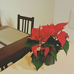 キッチン/クリスマス/キッチンカウンターのインテリア実例 - 2016-12-18 23:09:36