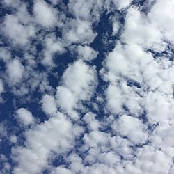 リビング/かわいい♡/雲/空/デッキからの風景...などのインテリア実例 - 2016-10-18 09:16:30