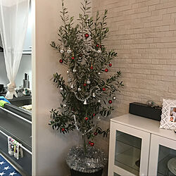 クリスマス/オリーブ/クリスマスツリー/植物のある暮らし/植物...などのインテリア実例 - 2017-11-22 09:53:39
