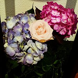 リビング/紫陽花のインテリア実例 - 2015-06-27 22:18:56