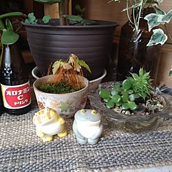 中古一戸建て/日常に感謝❤/趣味/紅葉のインテリア実例 - 2023-05-08 16:08:37