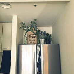 キッチン/冷蔵庫の上/IKEA/マンション暮らし/フェイクグリーンのインテリア実例 - 2016-09-10 14:32:59