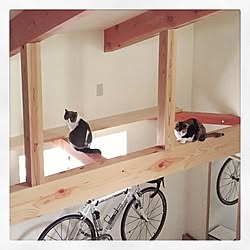 玄関/入り口/DIY/猫/小屋/狭小住宅...などのインテリア実例 - 2015-07-19 12:54:14