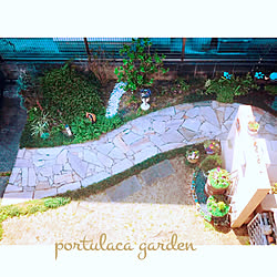 寄せ植え/小さな庭/割れ石だたみ/定点観測/portulaca Garden...などのインテリア実例 - 2019-03-25 10:53:48
