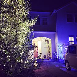 玄関/入り口/オリーブの木/イルミネーション/クリスマスのインテリア実例 - 2016-12-08 18:22:44