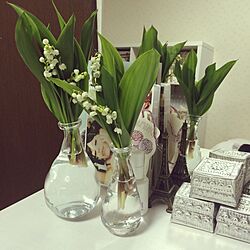 棚/花瓶/IKEA/観葉植物/ナチュラルのインテリア実例 - 2016-05-03 23:57:02