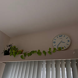 掛け時計/壁/天井のインテリア実例 - 2023-04-03 15:40:34