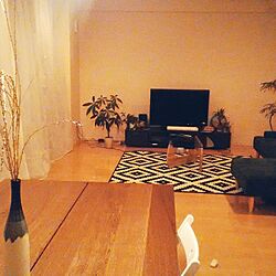 観葉植物のある部屋/花のある生活/IKEA　ラグ/IKEA 照明/無垢材...などのインテリア実例 - 2016-12-30 15:06:59