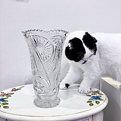 どうやって飾ろうかな/重い花瓶/クリスタル花瓶/フラワーベース/ボヘミアングラス　花瓶...などのインテリア実例 - 2022-09-11 14:22:44