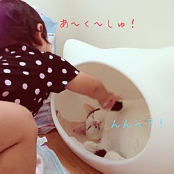 ベッド周り/むらにゃん/ねころん/ねこ部のインテリア実例 - 2014-01-13 00:10:04