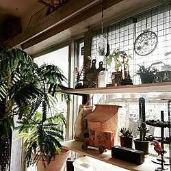 ベッド周り/GREENのある暮らし/indoor green/DIY/植物...などのインテリア実例 - 2019-08-31 14:19:31