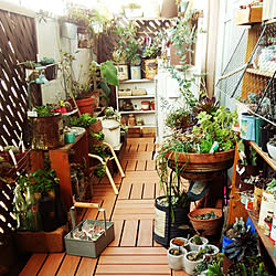 玄関/入り口/山善/NO GREEN NO LIFE/Junk style/植物のある暮らし...などのインテリア実例 - 2018-03-04 11:07:14