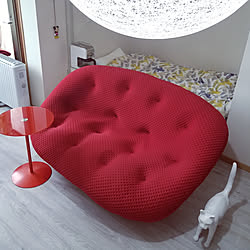 リビング/ソファ/ligne roset/1K/seletti...などのインテリア実例 - 2019-07-07 17:26:17