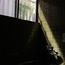 バス/トイレ/昭和の家のインテリア実例 - 2016-08-15 23:42:45