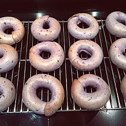 Blueberry bagel/Toronto/DIY/bakingのインテリア実例 - 2017-01-19 12:30:59