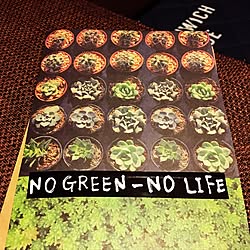 机/ノート/NO GREEN NO LIFE/ハンドメイド/多肉植物...などのインテリア実例 - 2016-11-22 00:15:33