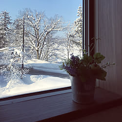 ベッド周り/空気が美味しい(*´～｀*)/雪景色/窓からの眺め/二世帯住宅の二階...などのインテリア実例 - 2018-02-09 08:28:50