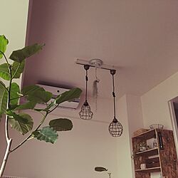 壁/天井/DIY/植物のインテリア実例 - 2017-06-13 13:11:05