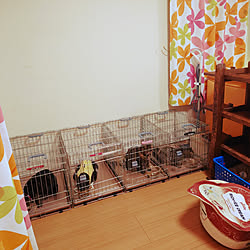 部屋全体/ねこと暮らす/建売住宅/ゲージ/猫スペース...などのインテリア実例 - 2021-08-30 20:02:36