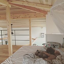 壁/天井/ベッド/IKEAのインテリア実例 - 2016-06-30 23:20:48