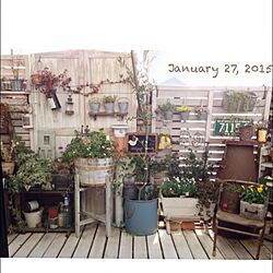 壁/天井/DIY/ベランダガーデン/a.s.gのインテリア実例 - 2015-01-27 08:44:23