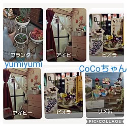 ベッド周り/CoCo0617ちゃんとラブトピ/コメントお気遣いなく/いまトピ掲載ありがとうございますのインテリア実例 - 2024-04-04 00:33:45