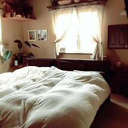 ベッド周り/ベッド/観葉植物/ナチュラル/アンティーク...などのインテリア実例 - 2016-01-29 12:52:27