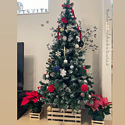 ポインセチア/クリスマス/クリスマスツリー180cm/リビングのインテリア実例 - 2021-11-27 11:31:42