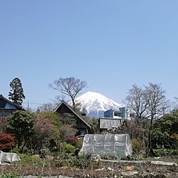 玄関/入り口/BESS の家/ナチュラル/ログハウス/田舎暮らし...などのインテリア実例 - 2017-05-01 03:47:31