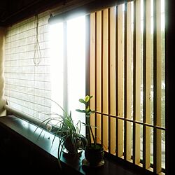 窓/DIY/和室/脱走防止/猫...などのインテリア実例 - 2015-09-14 15:47:20