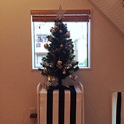 リビング/クリスマスツリーのインテリア実例 - 2015-11-24 14:01:47