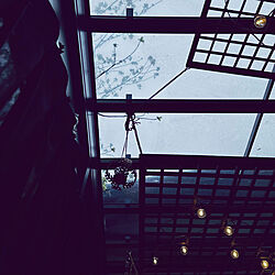 サンルーム/ハナミズキ/黒いカーテン/壁/天井のインテリア実例 - 2023-03-25 10:03:01