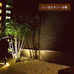 玄関/入り口/影・陰・かげ/植物/照明のインテリア実例 - 2012-09-29 21:52:27
