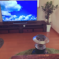 リビング/観葉植物/テレビボードDIY/テレビ/トヨトミレインボーストーブ...などのインテリア実例 - 2019-01-21 13:06:44