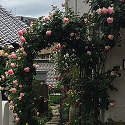 玄関/入り口/薔薇の庭をめざしてのインテリア実例 - 2016-05-12 12:08:03