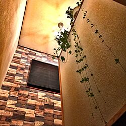 壁/天井/照明/シャンデリア/植物のインテリア実例 - 2016-10-19 22:38:22