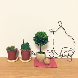 棚/無印良品/観葉植物/ハンドメイド/100均のインテリア実例 - 2016-11-25 19:17:16