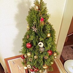 部屋全体/クリスマス/クリスマスツリー/観葉植物のインテリア実例 - 2016-12-22 19:10:20