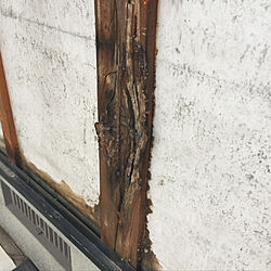 外壁 サイディング/ケイミュー ランドウェーブ/壁/天井のインテリア実例 - 2019-07-07 19:05:06